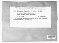 Image Associated With the Occurence